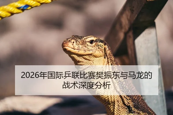 2026年国际乒联比赛樊振东与马龙的战术深度分析