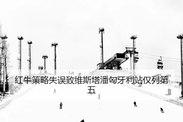 hong-niu-ce-lve-shi-wu-zhi-wei-si-ta-pan-xiong-ya-li-zhan-jin-lie-di-wu-3-850.jpg