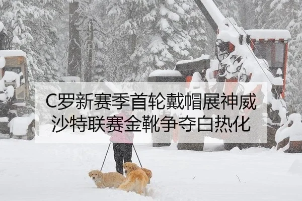 C罗新赛季首轮戴帽展神威 沙特联赛金靴争夺白热化